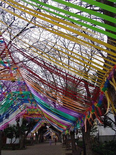 icod de los vinos - preparación fiesta