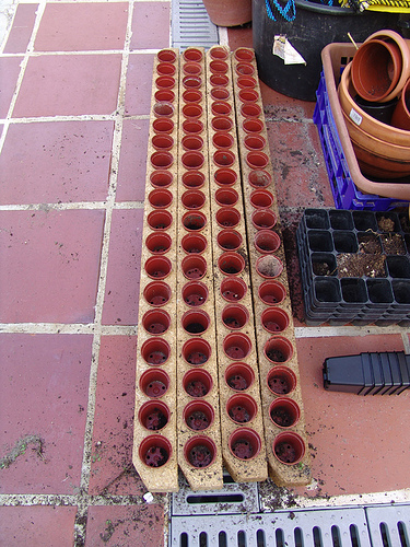 76 small pots