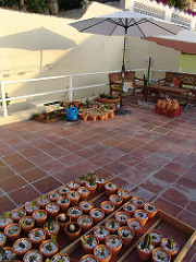 terrace (14july)